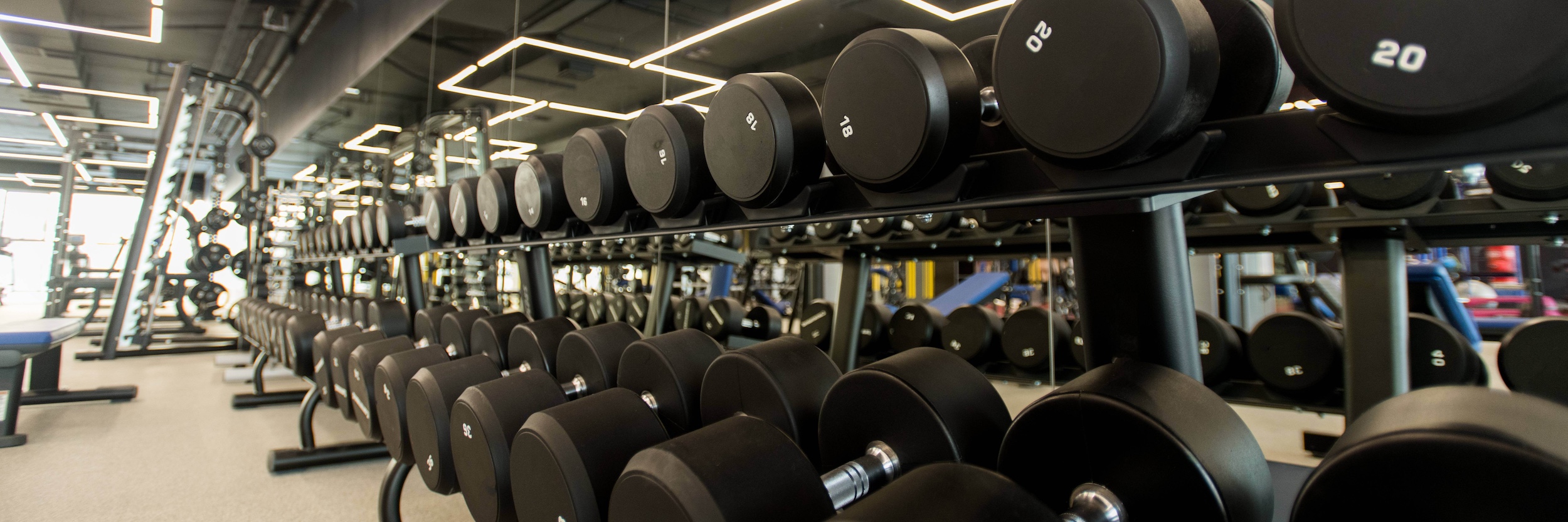 Row of dumbbells